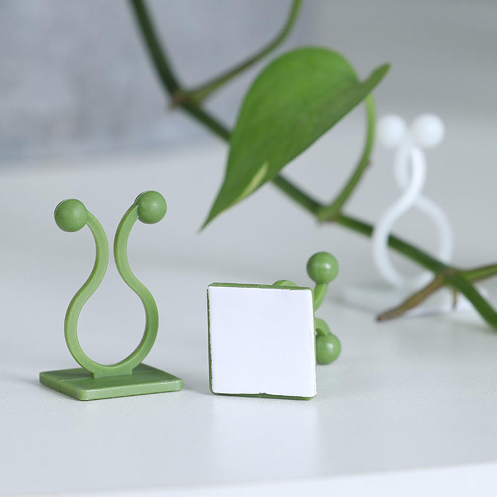 80Pcs Plant Climbing Fixture H - Pothos 评论和价格