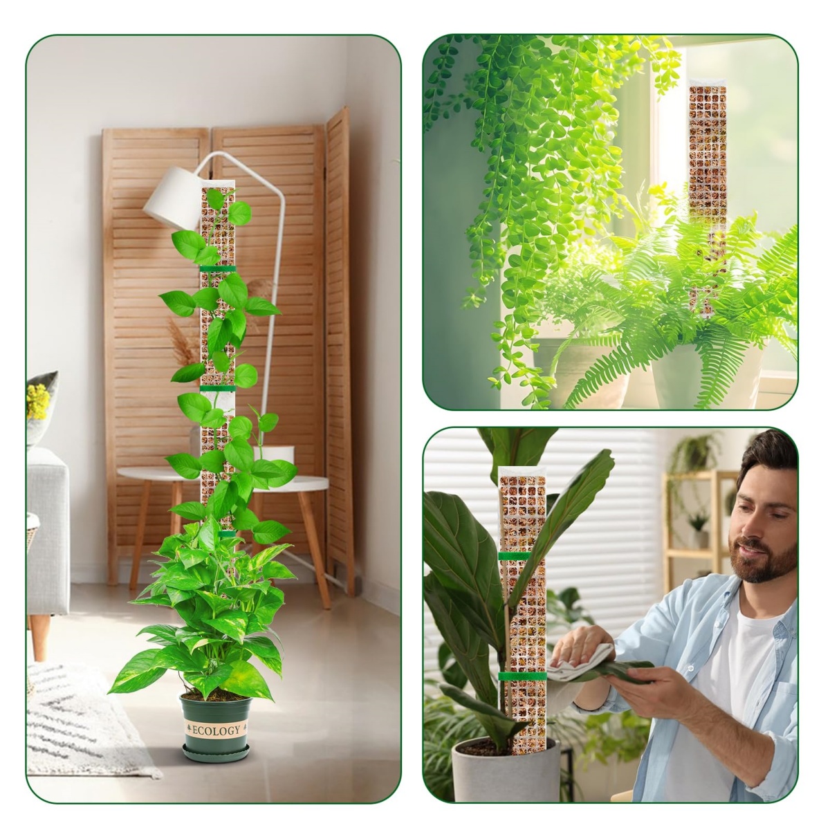 Stackable Plastic Moss Pole fo - Plant Support Stake 评论和价格