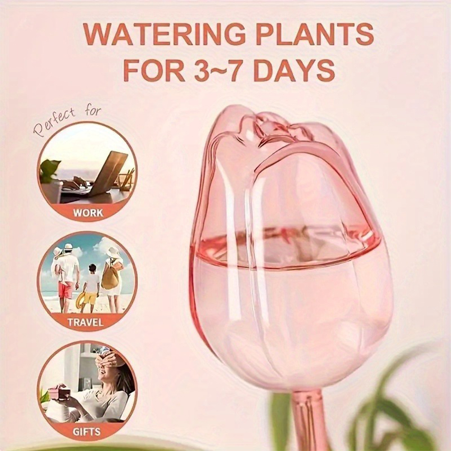 Transparent Thick PET Tulip Sh - Pothos 评论和价格