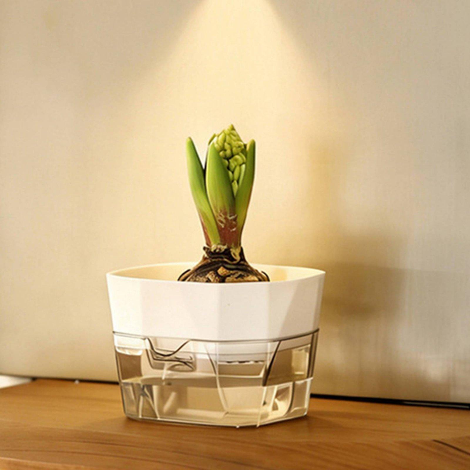 Hydroponic Vase Two Layer Self - Indoor Plants 评论和价格
