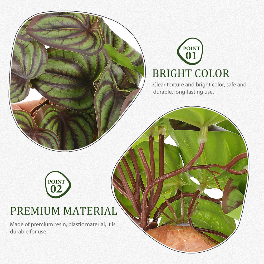 High Quality Simulation Terrar - Snake Plant 评论和价格