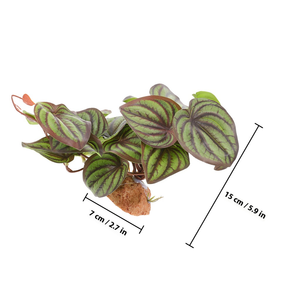 High Quality Simulation Terrar - Snake Plant 评论和价格