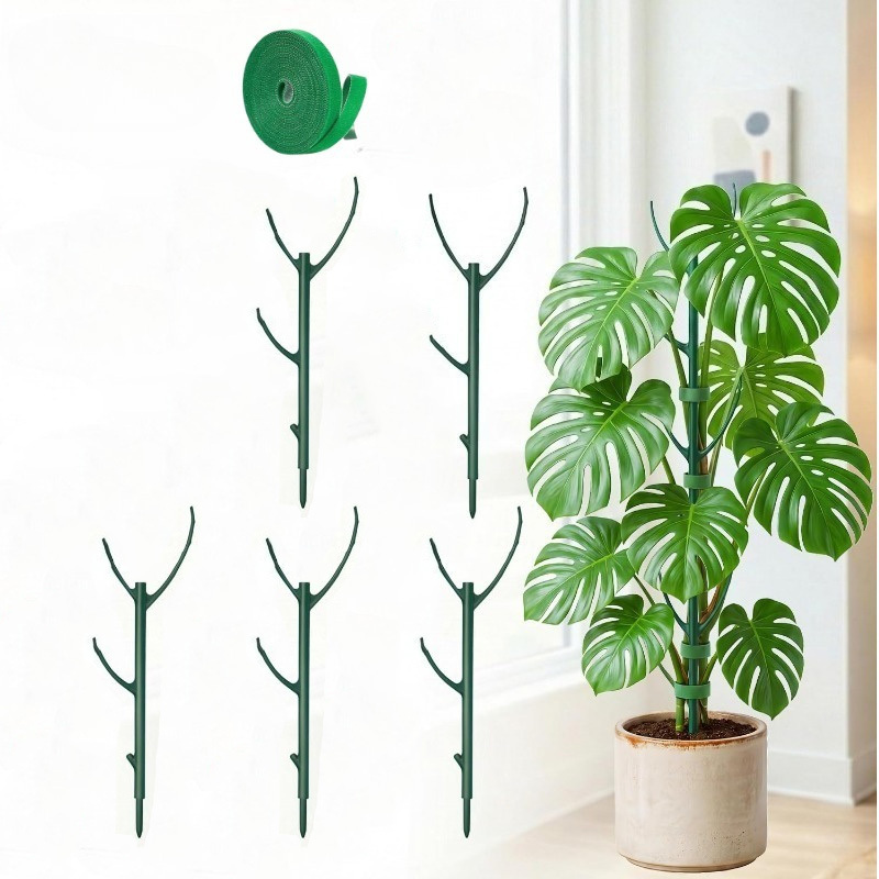 Monstera Plant Support Stakes  - Plant Support Stake 评论和价格