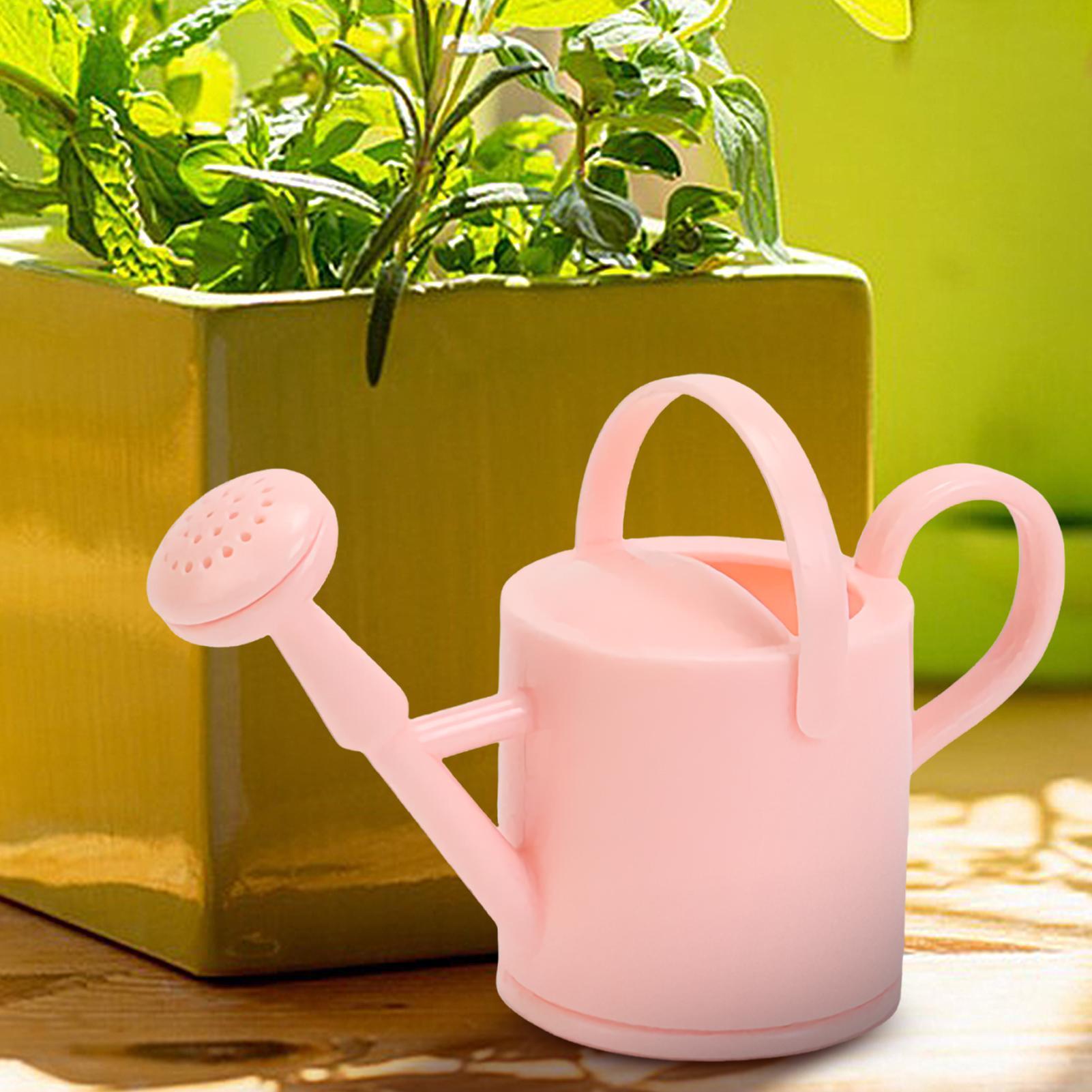 Small Kids Watering Can Flexib - Succulent Set 评论和价格