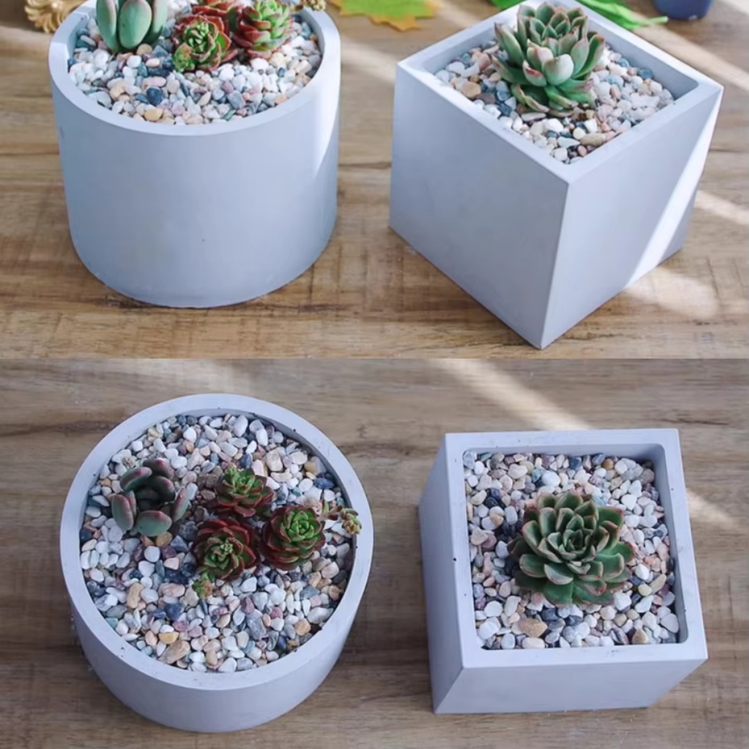 15cm Large Size Round Concrete - Succulent Set 评论和价格