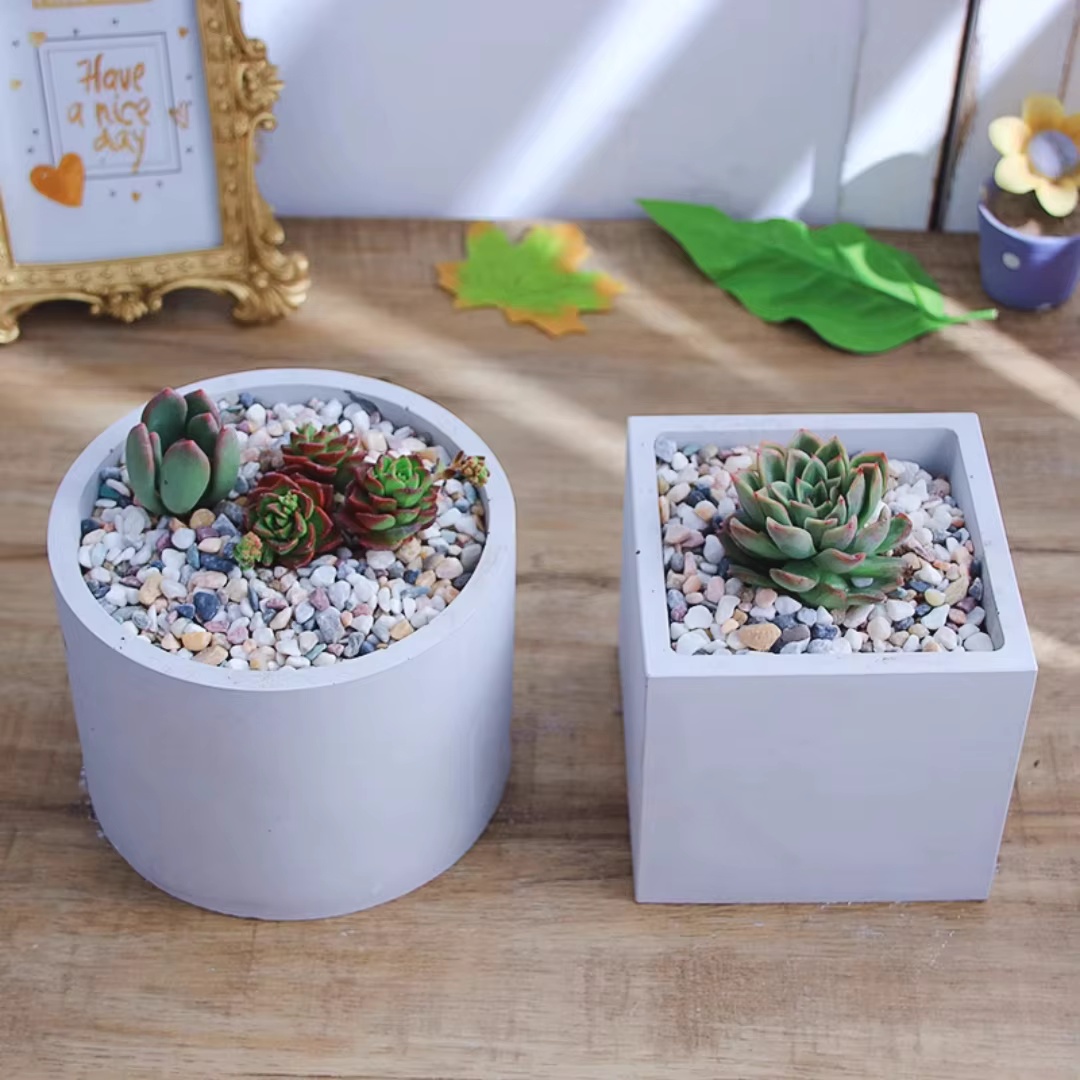 15cm Large Size Round Concrete - Succulent Set 评论和价格