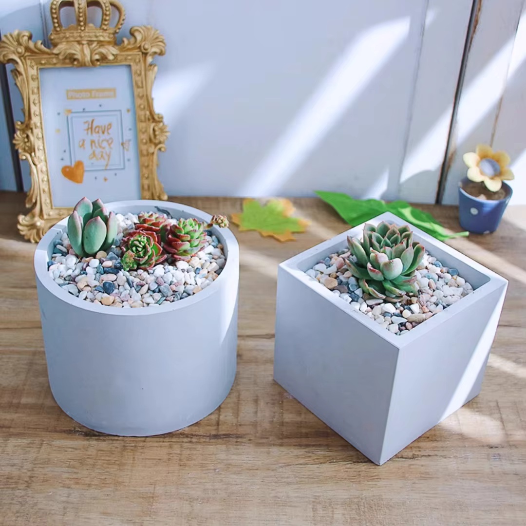 15cm Large Size Round Concrete - Succulent Set 评论和价格