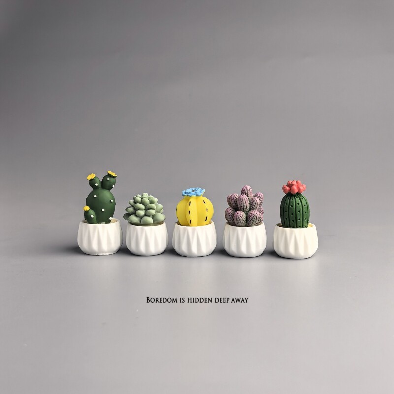 Potted Cactus Succulent Mini W - Succulent Set 评论和价格