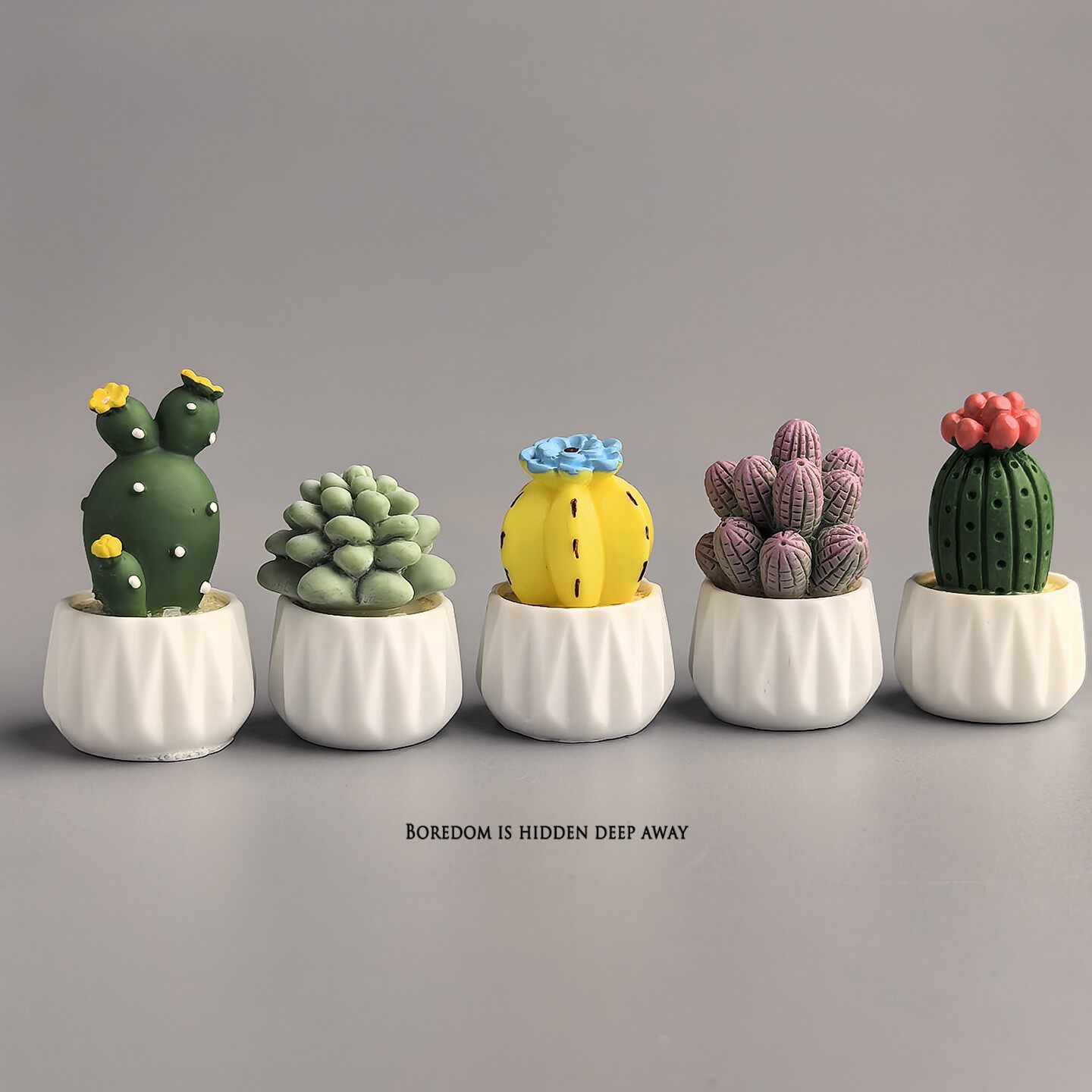 Potted Cactus Succulent Mini W - Succulent Set 评论和价格
