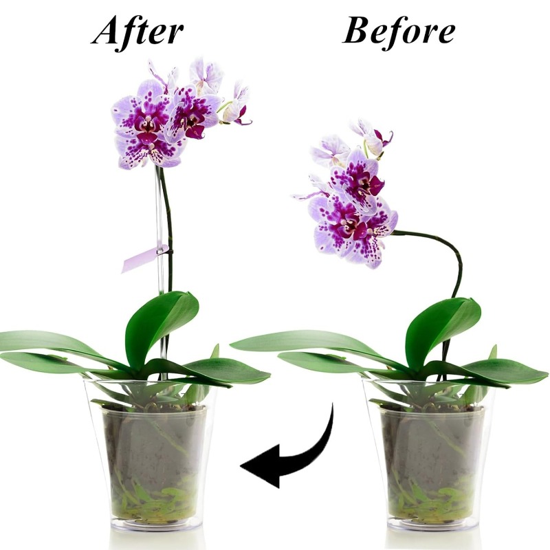 Reusable Clear Flower Support  - Plant Support Stake 评论和价格