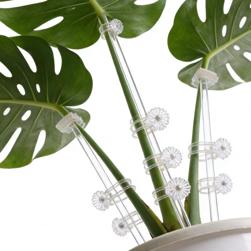 Reusable Clear Flower Support  - Plant Support Stake 评论和价格
