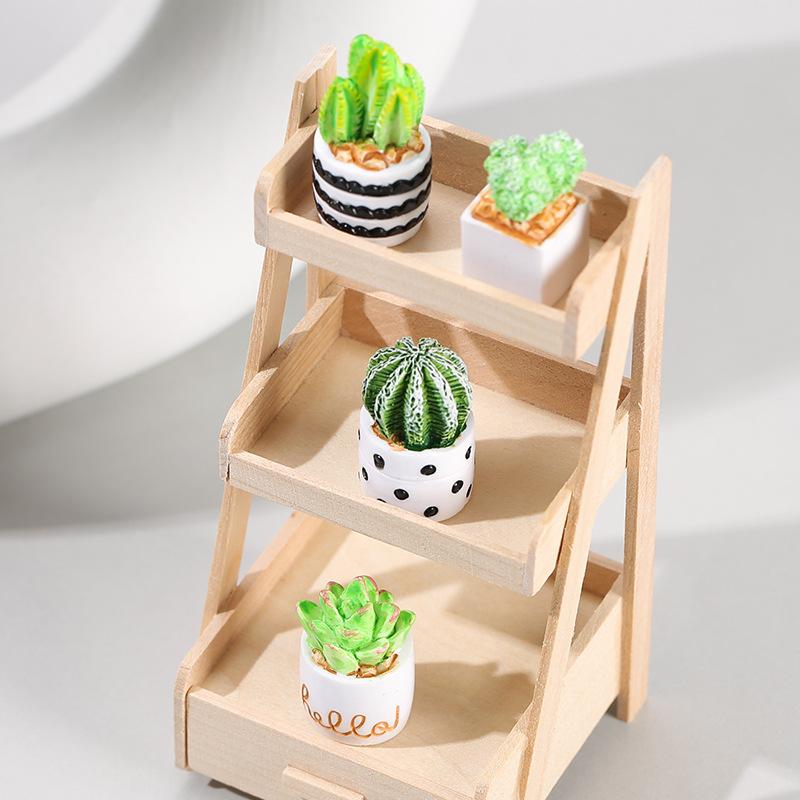 4-Piece Set of Cactus Succulen - Succulent Set 评论和价格