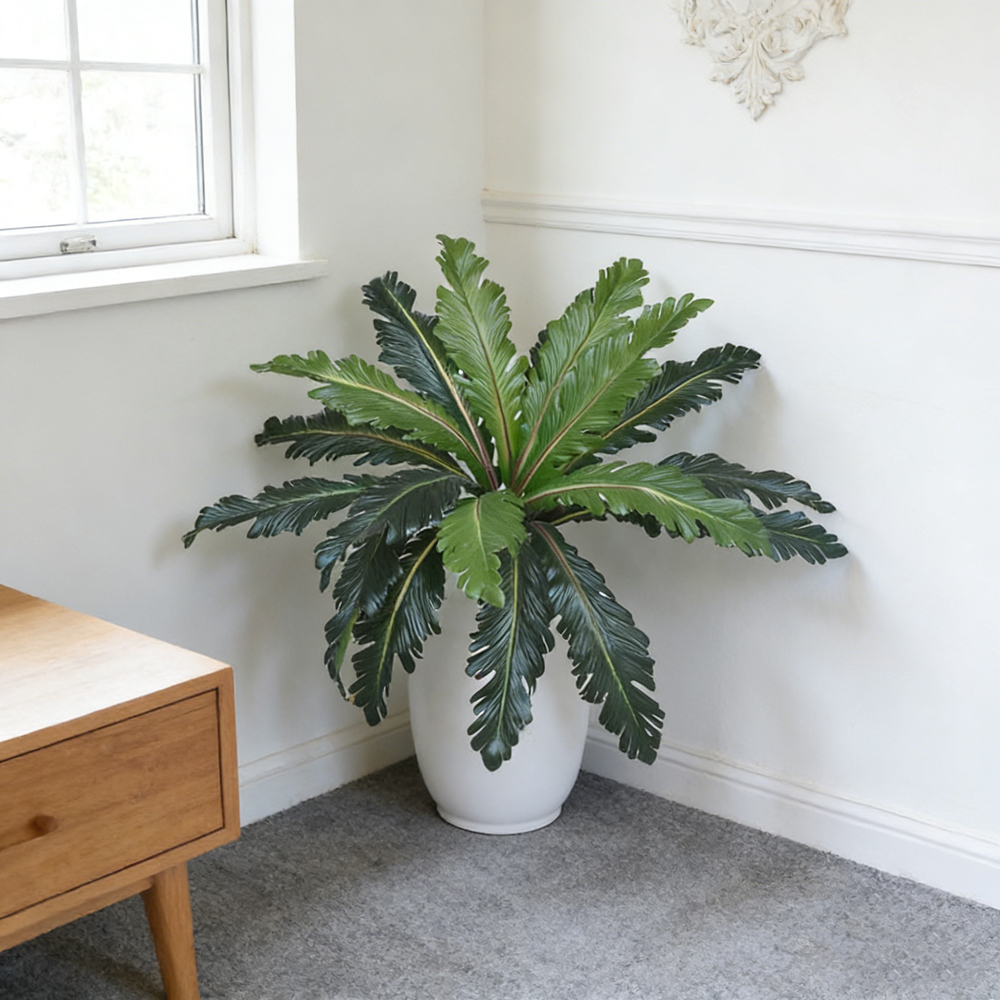 45-50cm Tropical Fake Persian  - Snake Plant 评论和价格