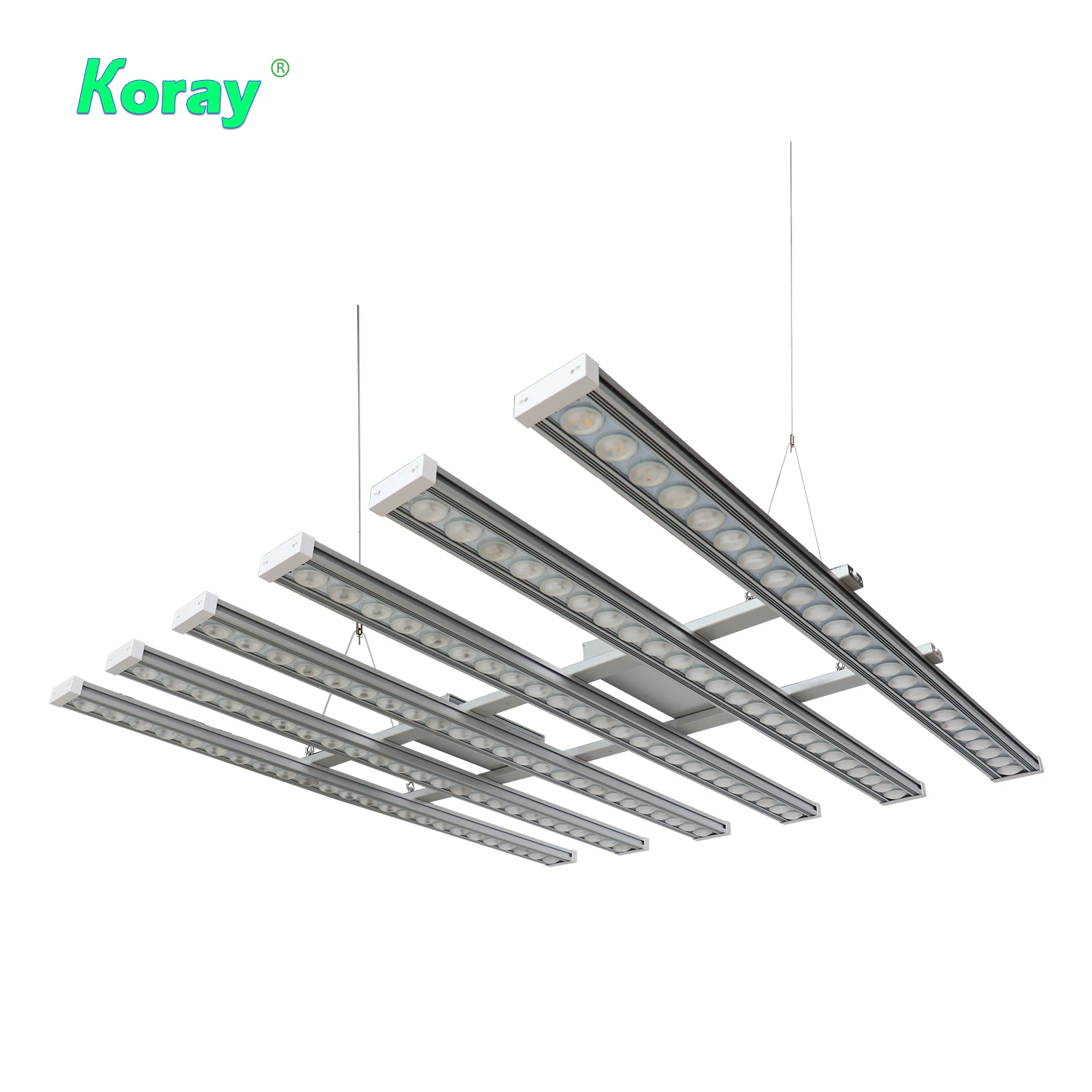 Koray 900W Indoor full spectru - Indoor Plants 评论和价格