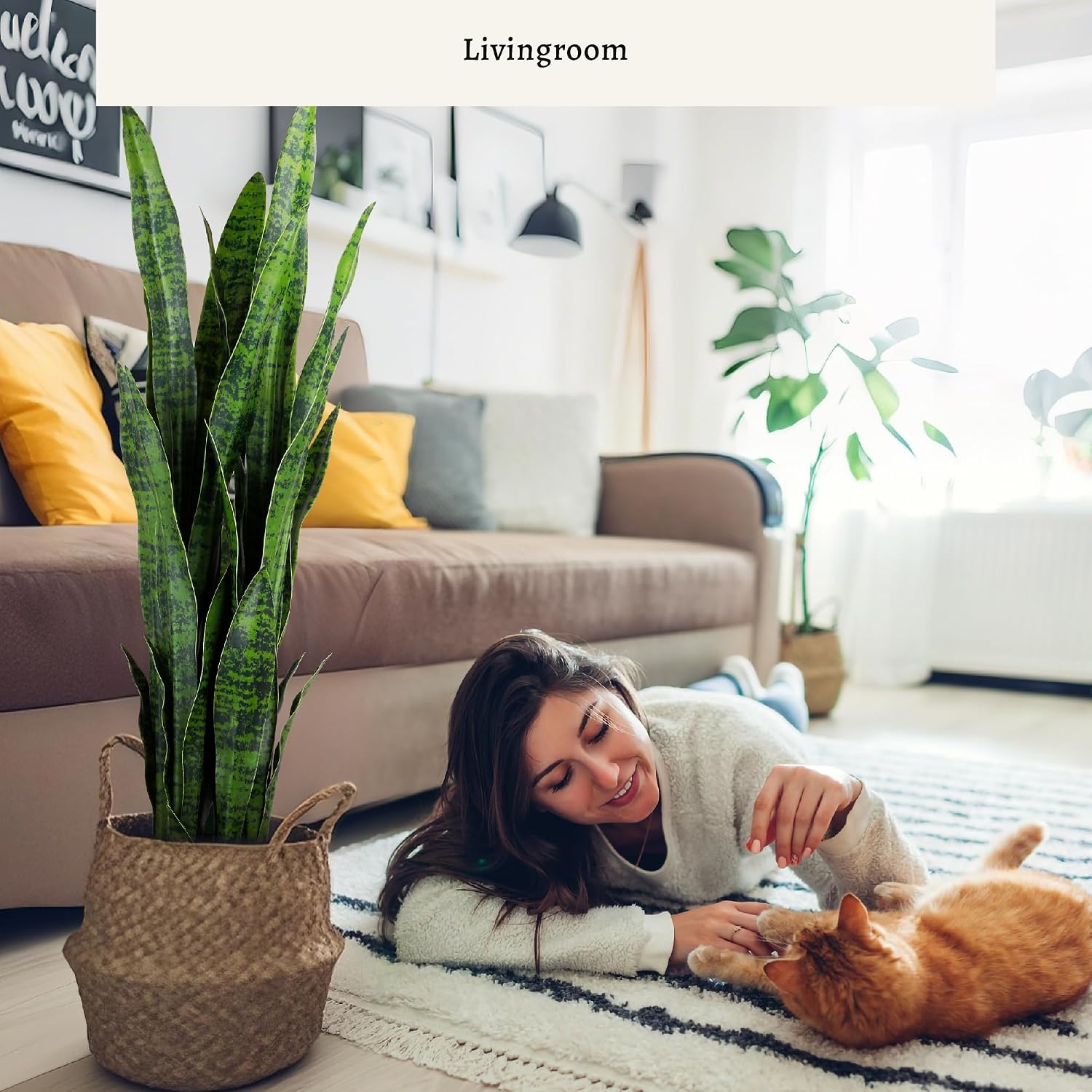 Artificial Snake Plant, 35in G - Snake Plant 评论和价格