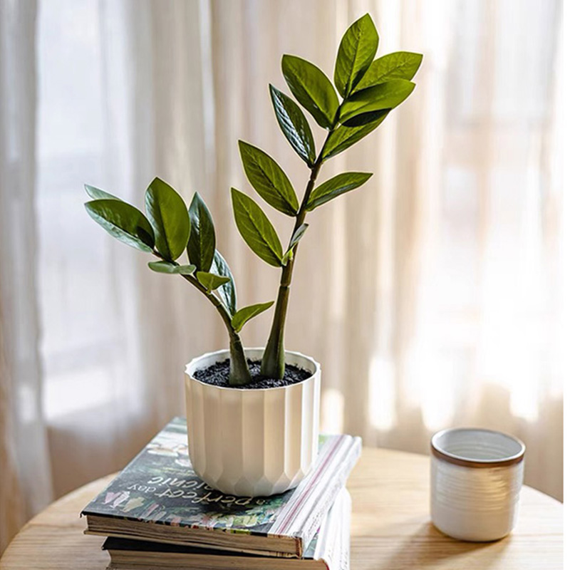 25in Tropical Large Artificial - Snake Plant 评论和价格