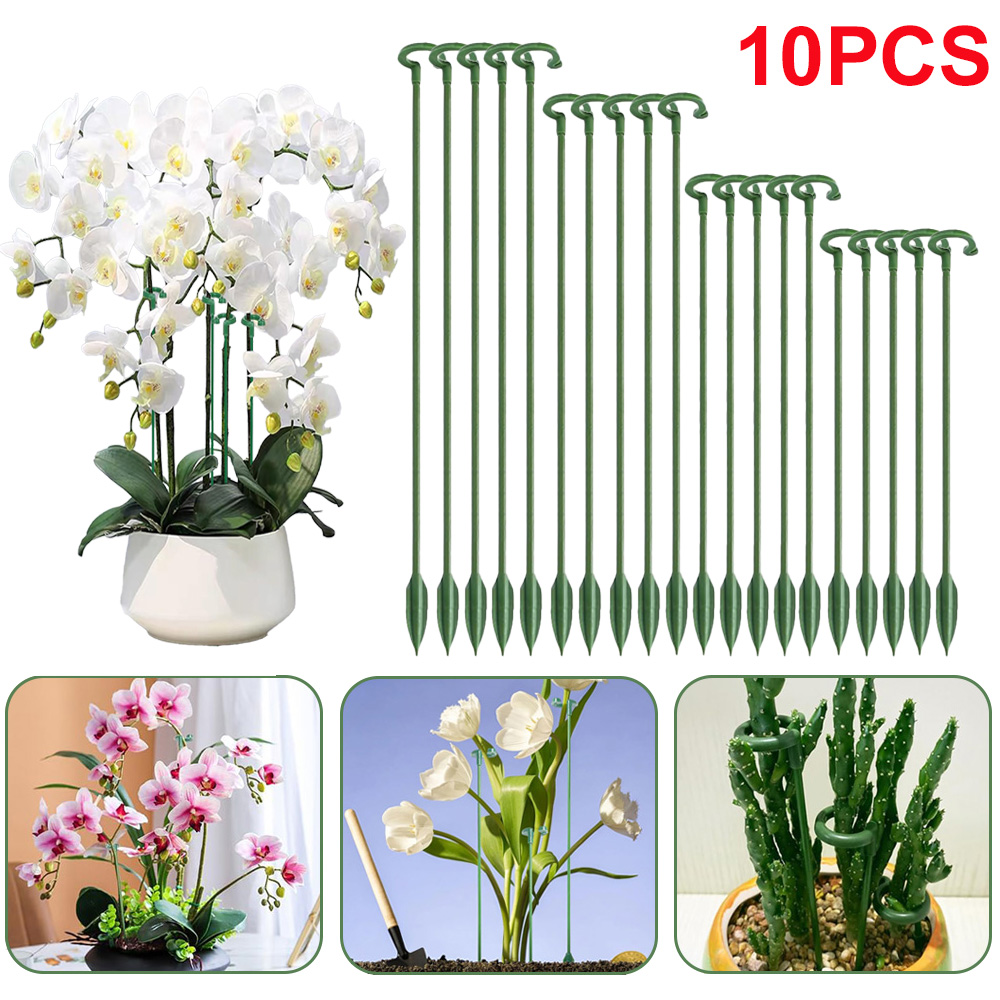 5/10pcs Plant Support Stakes P - Succulent Set 评论和价格
