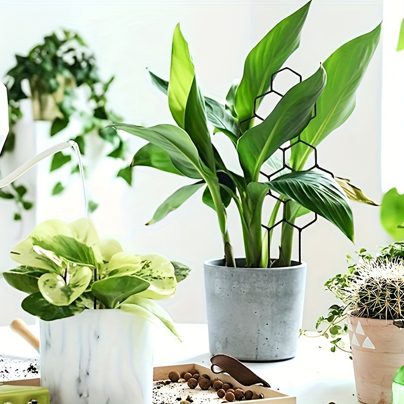 1PC Honeycomb Design Plant Tre - Terracotta Pot 评论和价格