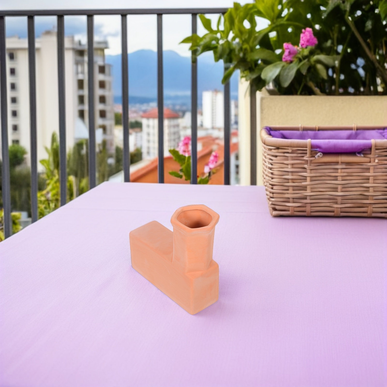 1Pair Terracotta Self Watering - Terracotta Pot 评论和价格